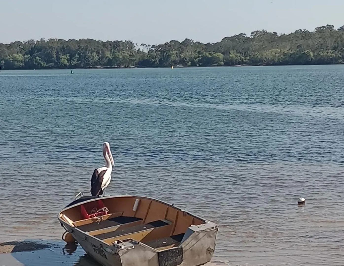 Maroochydore Waters Bnb Bed & Breakfast